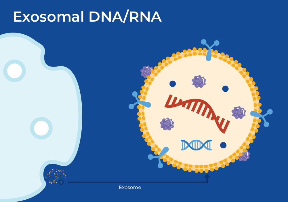 exosomal DNA/RNA